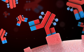 小分子聚乙二醇對(duì)蛋白藥物進(jìn)行修飾的類型