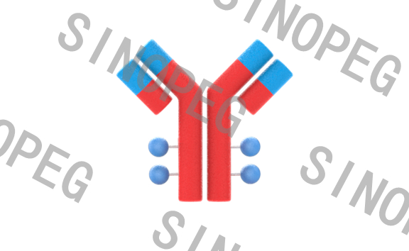 什么樣的小分子聚乙二醇廠家更值得合作