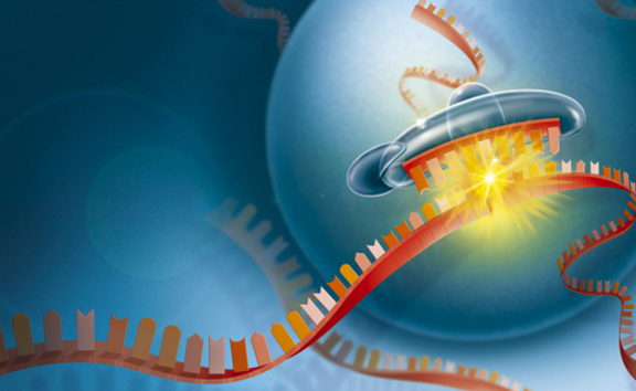 符合制藥企業(yè)需求的新冠疫苗輔料應(yīng)具備哪些特性