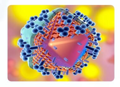 新冠疫苗輔料的選擇應(yīng)遵循哪些原則