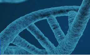 聚乙二醇衍生物為什么被廣泛應(yīng)用于制藥工業(yè)中