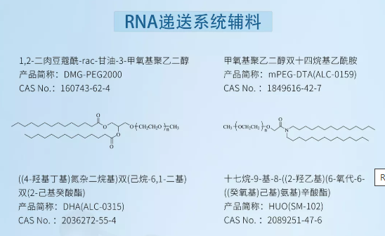 賽諾邦格邀請(qǐng)函丨天津2022疫苗研發(fā)和技術(shù)創(chuàng)新高峰論壇