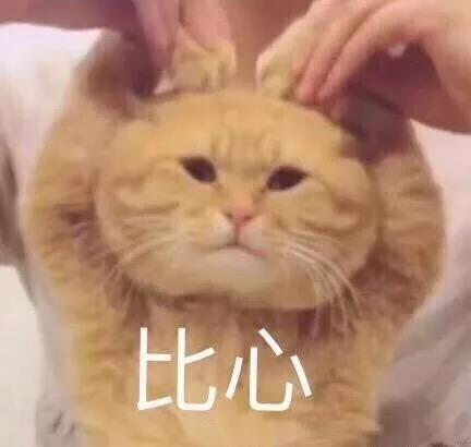 賽諾邦格年會丨繼往開來，再創(chuàng)輝煌！