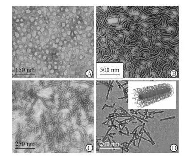 聚合物膠束技術(shù)及國產(chǎn)輔料供應(yīng)