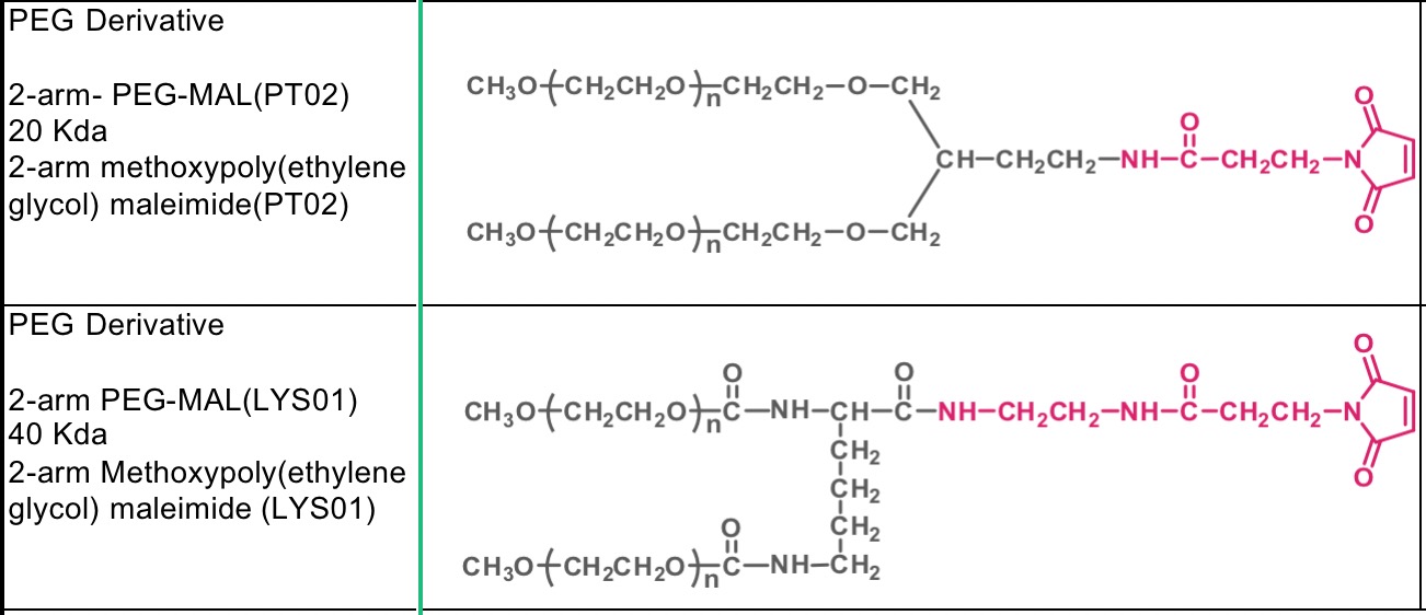 一種作為抗癌長效治療劑的生物工程精氨酸耗竭酶