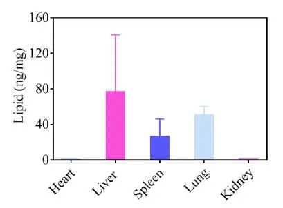 肺靶向和肝靶向LNPs的結(jié)構(gòu)差異，及其在mRNA遞送中的應(yīng)用