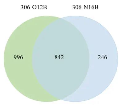肺靶向和肝靶向LNPs的結(jié)構(gòu)差異，及其在mRNA遞送中的應(yīng)用