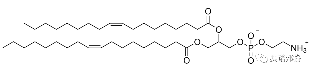 喜訊丨賽諾邦格自主知識產(chǎn)權(quán)LNP脂質(zhì)通過CDE備案