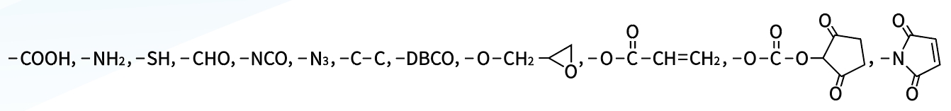 璀璨輝煌！賽諾邦格聚乙二醇衍生物榮獲省單項(xiàng)冠軍，彰顯科技實(shí)力！