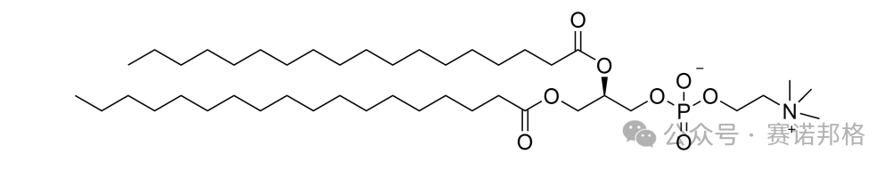喜報！賽諾邦格DSPC順利完成FDA