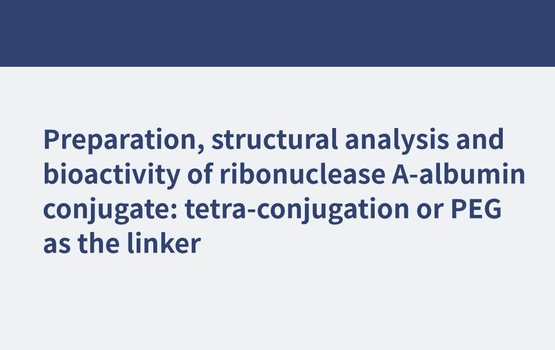 核糖核酸酶a-白蛋白偶聯(lián)物的制備、結(jié)構(gòu)分析及生物活性：四偶聯(lián)或PEG作為連接物
