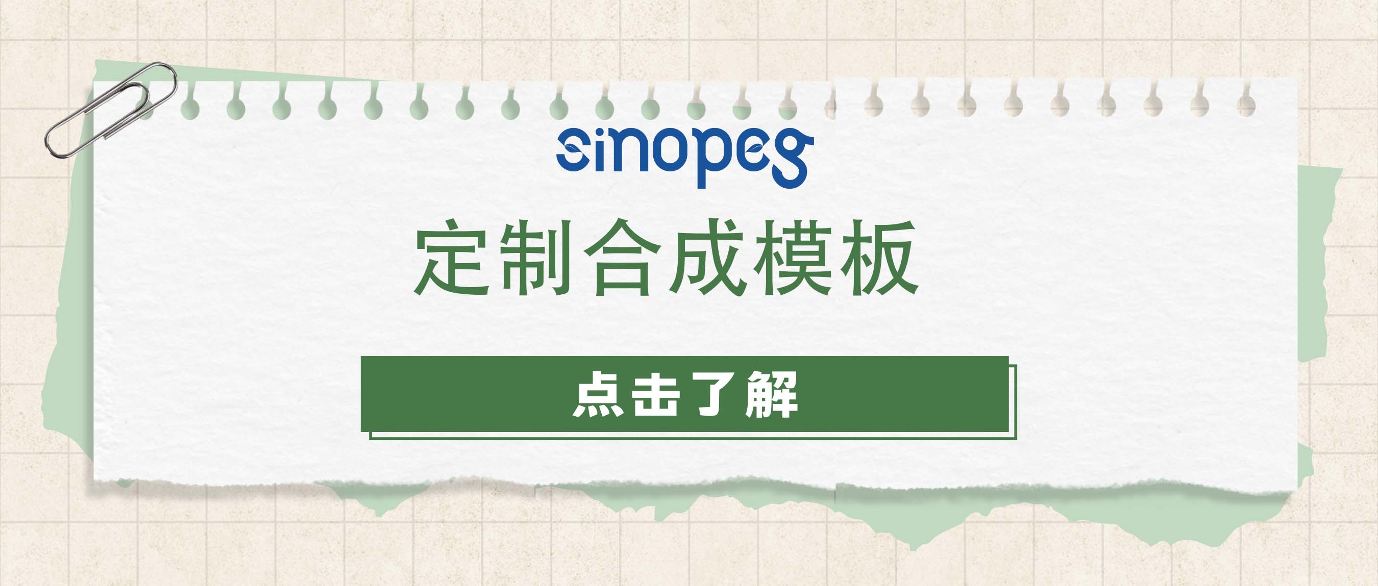 定制合成模板：個(gè)性化解決方案的成功之道