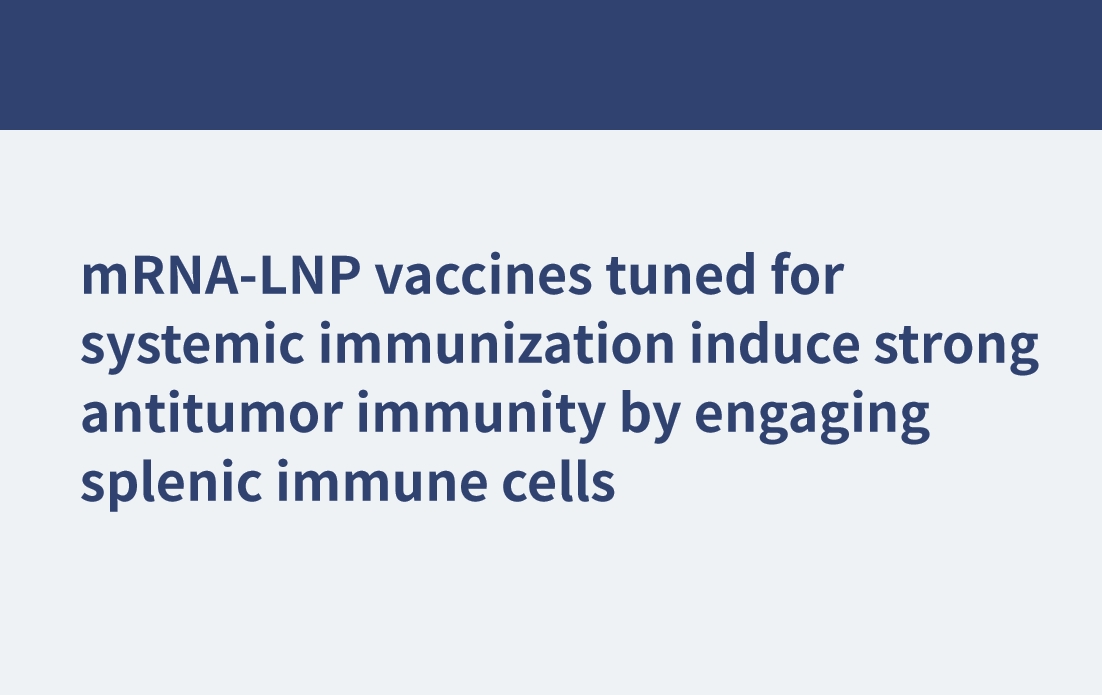 用于全身免疫的mRNA-LNP疫苗通過參與脾免疫細(xì)胞誘導(dǎo)強(qiáng)抗腫瘤免疫