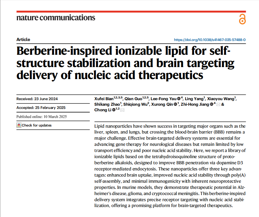 基于黃連素結(jié)構(gòu)的腦靶向突破：BE-ST納米平臺攻克血腦屏障難題