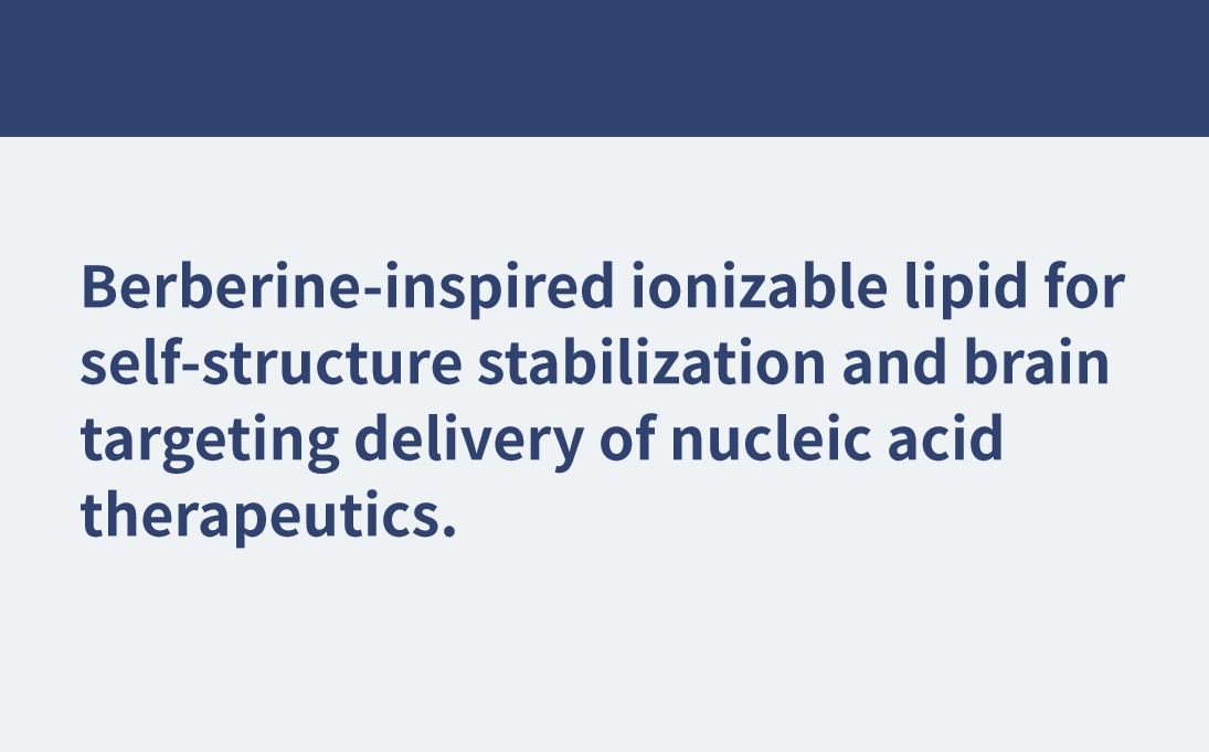 基于黃連素結(jié)構(gòu)的腦靶向突破：BE-ST納米平臺(tái)攻克血腦屏障難題
