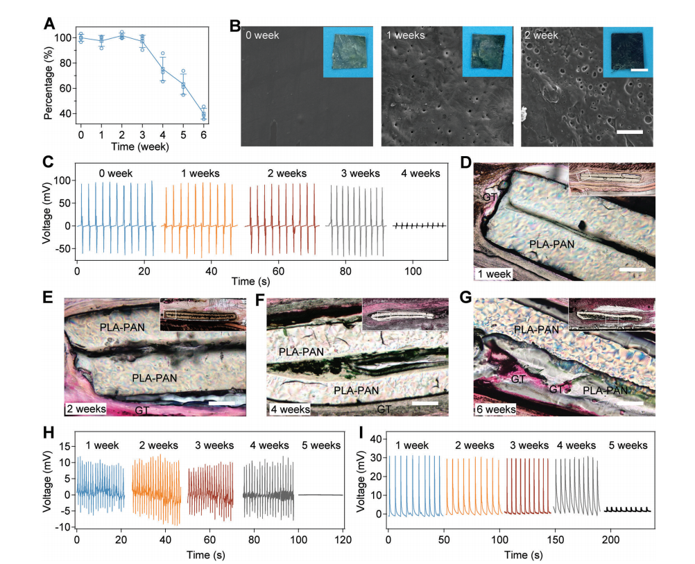 機(jī)械退火破解氨基酸晶體壓電難題！南京大學(xué)造出可生物降解的壓電力傳感器