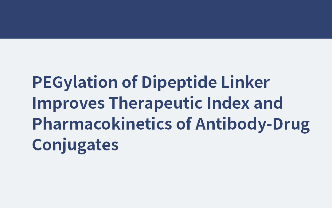 mPEG24 | 二肽連接物的聚乙二醇化改善了抗體-藥物偶聯(lián)物的治療指標(biāo)和藥代動(dòng)力學(xué)