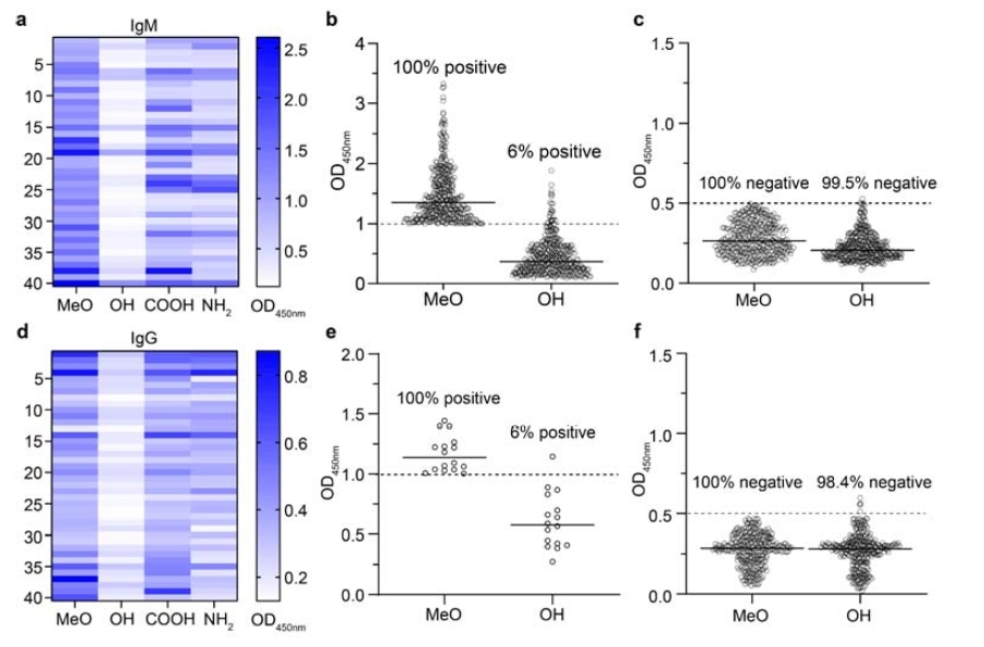 賽諾邦格新型PEG脂質(zhì)速遞—預(yù)存抗PEG抗體解決方案
