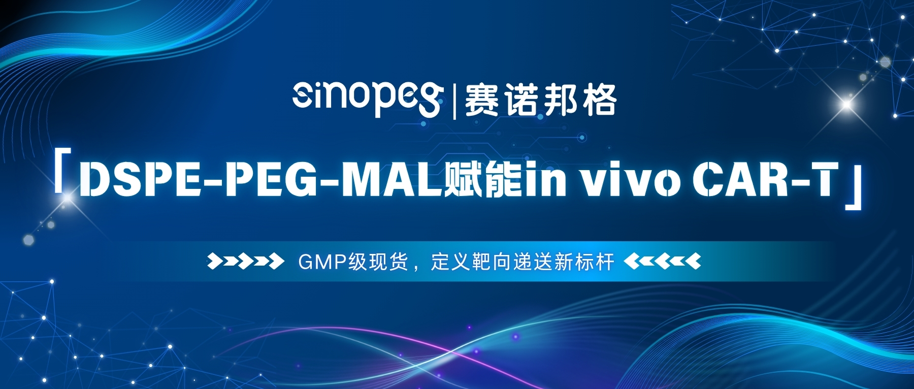DSPE-PEG-MAL賦能in vivo CAR-T：GMP級現(xiàn)貨，定義靶向遞送新標桿